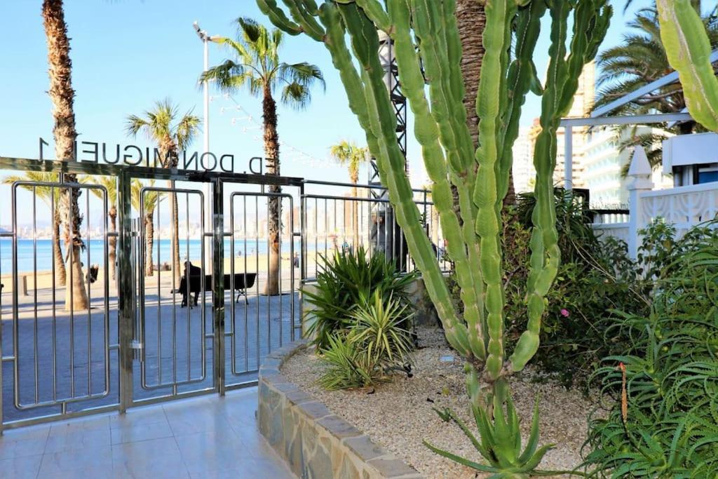 Luxurious 2-Bedroom Apt With Stunning Views, 1St Line On Levante Beach, ベニドルム エクステリア 写真